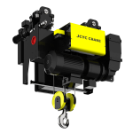 standard electric hoist